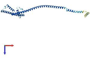 HAUS1 Protein (AA 1-278) (His tag)
