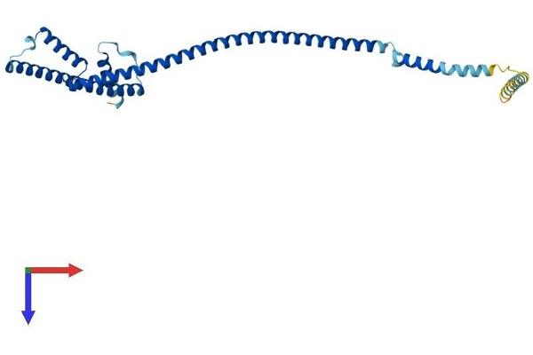 HAUS1 Protein (AA 1-278) (His tag)