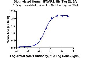 ELISA image for Interferon alpha (IFNA) (AA 28-436) protein (His-Avi Tag,Biotin) (ABIN7274850)