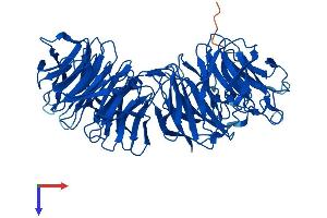 EML2 Protein (AA 1-649) (His tag)