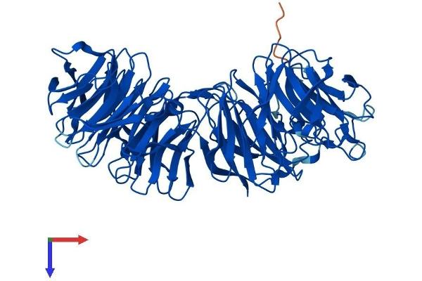 EML2 Protein (AA 1-649) (His tag)