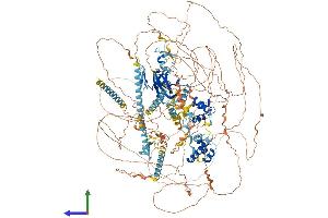 Protein Structure (PS) image for Arginine-Glutamic Acid Dipeptide (RE) Repeats (RERE) (AA 1-1558) protein (His tag) (ABIN7564246)