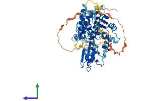 AlphaFold protein structure predicition of Mouse Recombinant Cblc Protein, UniprotID Q80XL1 (CBLC Protein (AA 1-496) (His tag))