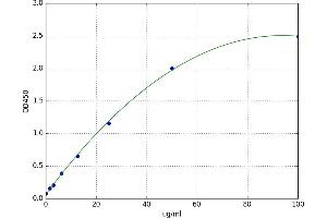 Glucose-6-Phosphate Dehydrogenase (G6PD) ELISA Kit