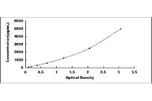 MMP10 ELISA Kit