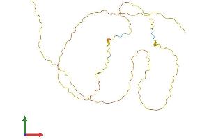 AlphaFold protein structure predicition of Mouse Recombinant Mdfi Protein, UniprotID P70331 (MDFI Protein (AA 1-251) (His tag))