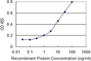 Detection limit for recombinant GST tagged ULK2 is 0. (ULK2 Antikörper  (AA 743-843))