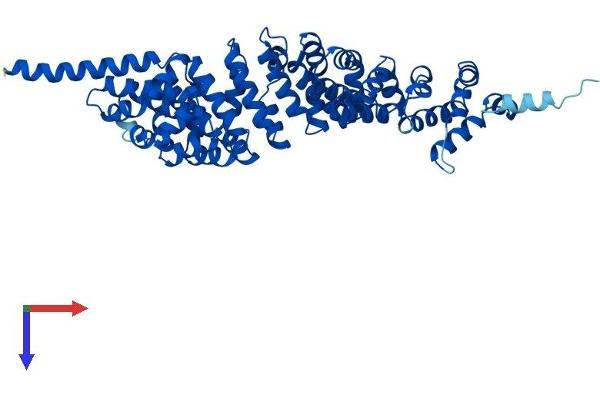 SPAG6 Protein (AA 1-507) (His tag)