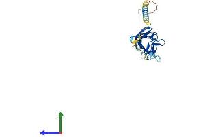 Protein Structure (PS) image for Tumor Necrosis Factor (Ligand) Superfamily, Member 12 (TNFSF12) (AA 1-249) protein (His tag) (ABIN7544425)