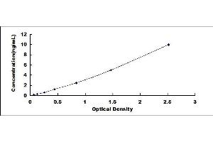 ELISA image for Matrix Metalloproteinase 2 (MMP2) ELISA Kit (ABIN6730864)