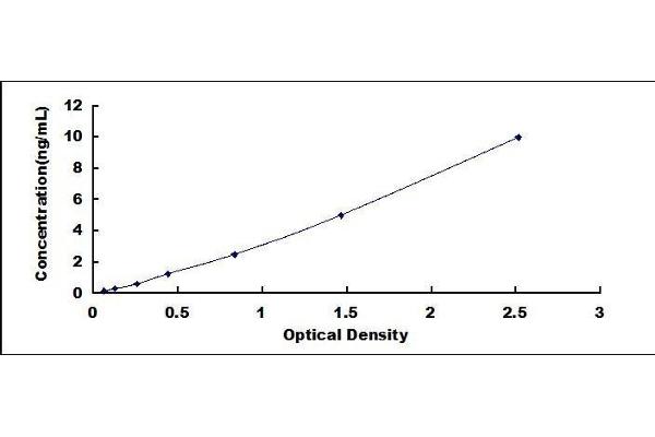 MMP2 ELISA Kit