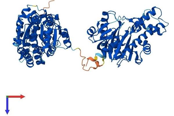 GNE Protein (AA 1-722) (His tag)