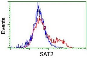 HEK293T cells transfected with either RC204044 overexpress plasmid (Red) or empty vector control plasmid (Blue) were immunostained by anti-SAT2 antibody (ABIN2455748), and then analyzed by flow cytometry. (SAT2 Antikörper)