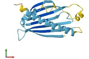 AlphaFold protein structure predicition of Human Recombinant PRELID3A Protein, UniprotID Q96N28