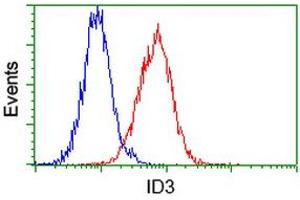 Image no. 4 for anti-Inhibitor of DNA Binding 3, Dominant Negative Helix-Loop-Helix Protein (ID3) antibody (ABIN1498781)