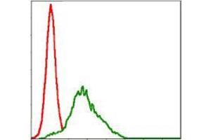 Flow cytometric analysis of HepG2 cells using RSK2 mouse mAb (green) and negative control (red).