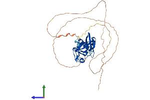 Protein Structure (PS) image for SET Domain Containing (Lysine Methyltransferase) 8 (SETD8) (AA 1-393) protein (His tag) (ABIN7554369)
