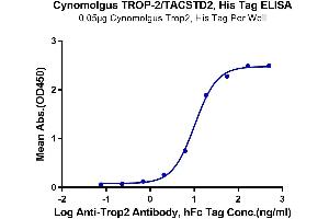 Immobilized Cynomolgus TROP-2 at 0. (TACSTD2 Protein (His tag))