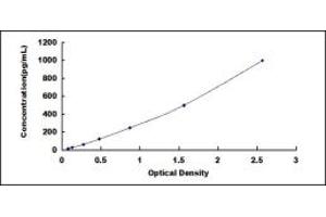 Typical standard curve (RSPO2 ELISA Kit)