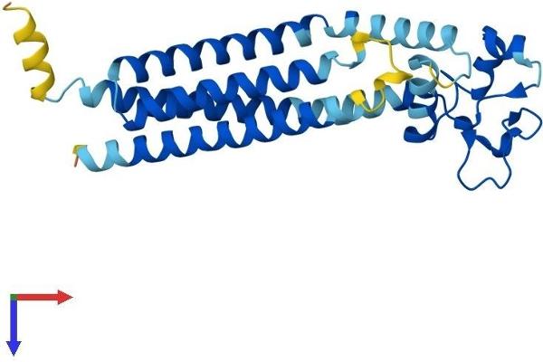 Tetraspanin 3 Protein (TSPAN3) (AA 1-253) (His tag)