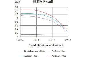 Black line: Control Antigen (100 ng),Purple line: Antigen (10 ng), Blue line: Antigen (50 ng), Red line:Antigen (100 ng) (SIGLEC6 Antikörper  (AA 27-347))