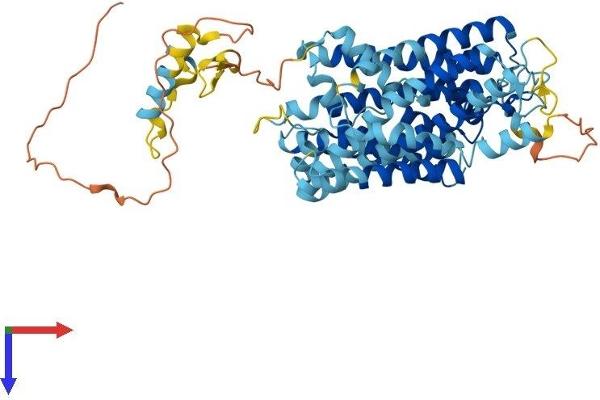 SLC38A9 Protein (AA 1-560) (His tag)