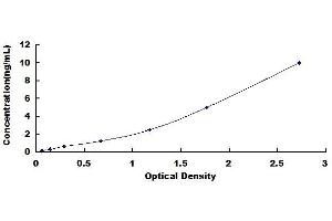 Typical standard curve (Erythroferrone (ERFE) ELISA Kit)