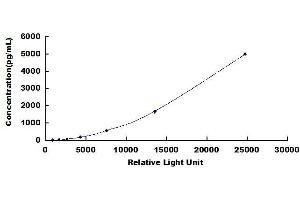 Glutamate Receptor, Ionotropic, N-Methyl D-Aspartate 2a (GRIN2A) CLIA Kit