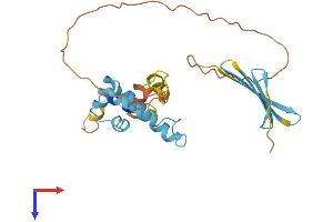 DnaJ (Hsp40) Homolog, Subfamily B, Member 3 (DNAJB3) (AA 1-242) protein (His tag)