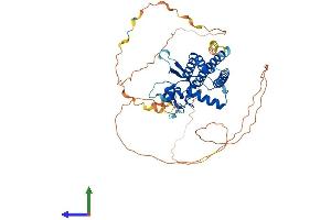 Protein Structure (PS) image for Transcription Factor AP-2 gamma (Activating Enhancer Binding Protein 2 Gamma) (TFAP2C) (AA 1-450) protein (His tag) (ABIN7552194)