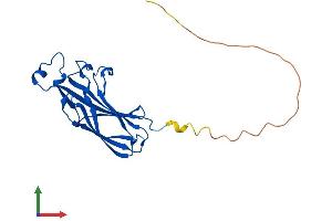 Protein Structure (PS) image for ASF1 Anti-Silencing Function 1 Homolog A (S. Cerevisiae) (ASF1A) (AA 1-204) protein (His tag) (ABIN7560536)