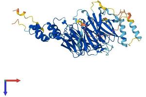 FBXW5 Protein (AA 1-566) (His tag)