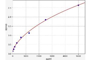 ZFHX3 ELISA Kit