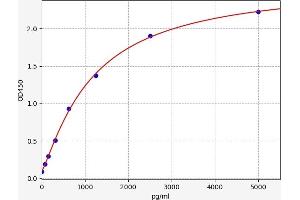 PIP4K2C ELISA Kit