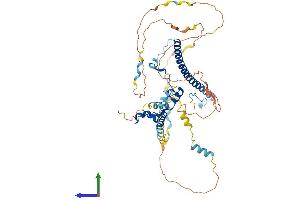 AlphaFold protein structure predicition of Human Recombinant WASF3 Protein, UniprotID Q9UPY6