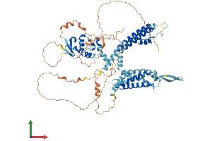Protein Structure (PS) image for Potassium Voltage-Gated Channel, Shaw-Related Subfamily, Member 4 (KCNC4) (AA 1-635) protein (His tag) (ABIN7554265)
