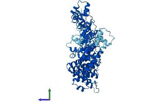 Protein Structure (PS) image for Fem-1 Homolog B (FEM1B) (AA 1-627) protein (His tag) (ABIN7547630)