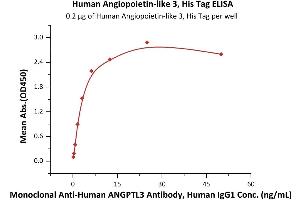 Immobilized Human Angiopoie 3, His Tag (ABIN2180589,ABIN2180588) at 2 μg/mL (100 μL/well) can bind Monoclonal A ANGPTL3 Antibody, Human IgG1 with a linear range of 0. (ANGPTL3 Protein (AA 17-220) (His tag))