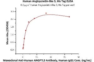 Immobilized Human Angiopoie 3, His Tag (ABIN2180589,ABIN2180588) at 2 μg/mL (100 μL/well) can bind Monoclonal A ANGPTL3 Antibody, Human IgG1 with a linear range of 0. (ANGPTL3 Protein (AA 17-220) (His tag))