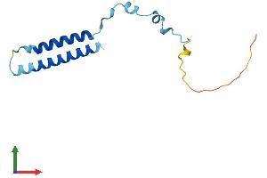 Protein Structure (PS) image for Membrane Magnesium Transporter 2 (MMGT2) (AA 1-123) protein (His tag) (ABIN7559738)
