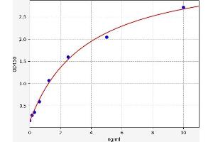 CPB1 ELISA Kit