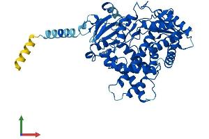 Protein Structure (PS) image for Cytochrome P450, Family 2, Subfamily J, Polypeptide 2 (CYP2J2) (AA 1-502) protein (His tag) (ABIN7546734)