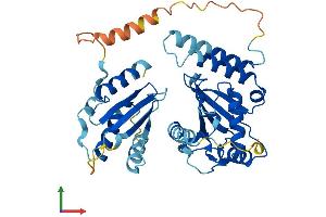 Protein Structure (PS) image for Ubiquitin-Conjugating Enzyme E2Q Family Member 2 (UBE2Q2) (AA 1-375) protein (His tag) (ABIN7544982)