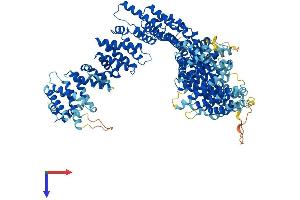 NCAPG2 Protein (AA 1-1138) (His tag)