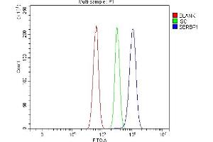 Flow Cytometry analysis of RH35 cells using anti-SERBP1 antibody (ABIN7602927).