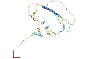 Protein Structure (PS) image for Family with Sequence Similarity 54, Member A (FAM54A) (AA 1-361) protein (His tag) (ABIN7559904)