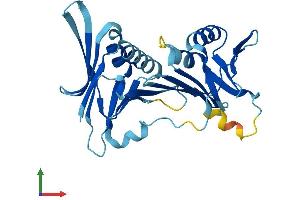 Protein Structure (PS) image for HUS1 Checkpoint Homolog B (HUS1B) (AA 1-276) protein (His tag) (ABIN7559588)