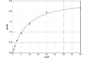 A typical standard curve
