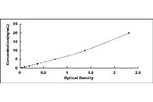 Typical standard curve (Cyclin D1 ELISA Kit)