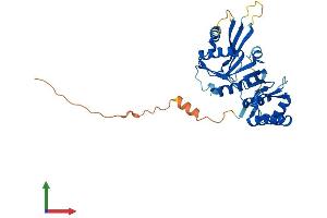 Protein Structure (PS) image for Centromere Protein L (CENPL) (AA 1-344) protein (His tag) (ABIN7553415)